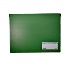 PVC Computer File (802) - Green / 20pcs